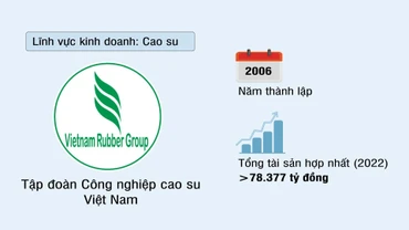Tập đoàn Công nghiệp Cao su Việt Nam (VRG)