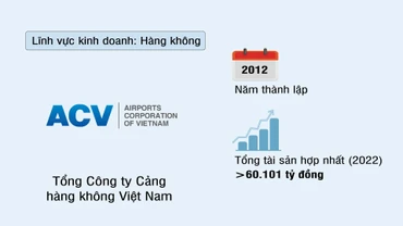 Tổng công ty Cảng hàng không Việt Nam (ACV)