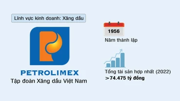 Tập đoàn Xăng dầu Việt Nam (PETROLIMEX)