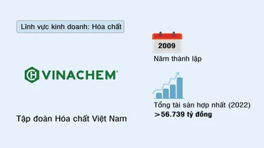 Tập đoàn Hóa chất Việt Nam (VINACHEM)