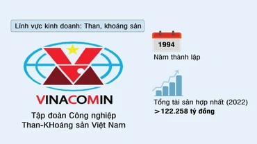 Tập đoàn Công nghiệp Than-Khoáng sản Việt Nam (TKV)