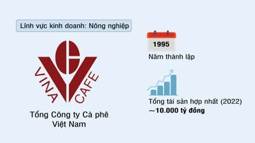 Tổng Công ty Cafe Việt Nam (VINACAFE) 