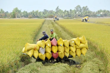 Nông nghiệp xanh luôn là điểm đến quan trọng của dòng tín dụng xanh. Ảnh: Lê Tất Tiên