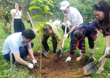 Trồng rừng phòng hộ tại Vườn quốc gia Cúc Phương (Ninh Bình).