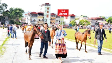 Chuẩn bị vào cuộc đua.
