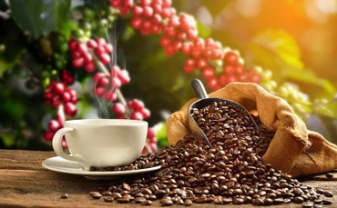 Giá ca-cao tiếp tục lập đỉnh, giá cà-phê suy yếu nhẹ