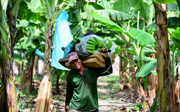 Lưới đỡ an sinh cho người yếm thế