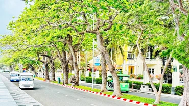 Côn Đảo hôm nay trở thành điểm đến du lịch hấp dẫn.