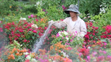 Đề xuất bổ sung quy định miễn thuế thu nhập cá nhân
