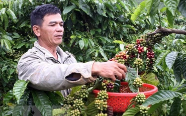 Giá hàng hóa nguyên liệu thế giới chưa thể kết thúc đà giảm