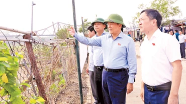 Trước phiên giải trình, các đoàn công tác của Hội đồng nhân dân thành phố Hà Nội đã tiến hành khảo sát thực địa tại nhiều khu vực bãi sông, ngoài đê sông Hồng, sông Đuống.