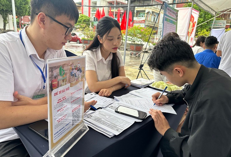 Sinh viên Trường cao đẳng nghề Điện Biên nộp đơn đăng ký ứng tuyển vào làm việc tại Công ty TNHH Thương mại và Xây dựng số 6. img-8120.jpg