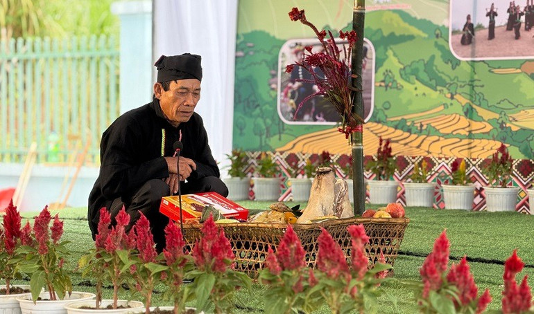 Помимо сельскохозяйственных подношений предкам и богам, целозия является обязательным цветком на подносе для жертвоприношений и в домах народности конг во время Фестиваля цветов. 8d72b922bd1823abbbf1bf640a4cff56.jpg