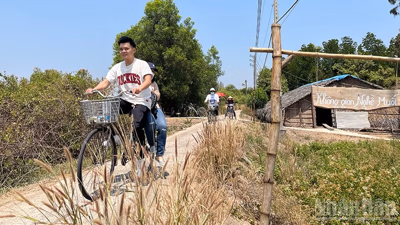 Du khách đi xe đạp khám phá Thiềng Liềng, xã Thạnh An. (Ảnh: LINH BẢO).