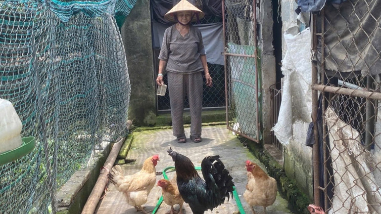 Dù ở tuổi 70, nhưng bà Hoàng Thị My (Hưng Yên) vẫn mạnh dạn vay vốn chính sách để phát triển kinh tế hộ gia đình. img-3172.jpg