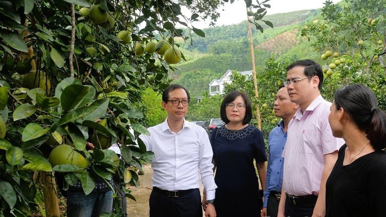 Phó Vụ trưởng Vụ Định chế tài chính Nguyễn Việt Hưng (áo trắng) cùng đoàn công tác thăm mô hình vay vốn phát triển kinh tế gia đình anh Nguyễn Văn Minh ở thôn Soi Hà, xã Xuân Vân. img-3792-8318.jpg