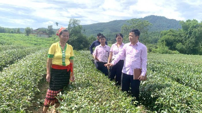 Nhiều hộ đồng bào dân tộc thiểu số đã vươn lên thoát nghèo nhờ nguồn vốn chính sách ưu đãi. can-bo-tin-dung-nhcsxh-anh-son-tan-tinh-huong-dan-nhan-dan-su-dung-von-vay-phat-trien-kinh-te-cai-thien-doi-song1-4712.jpg