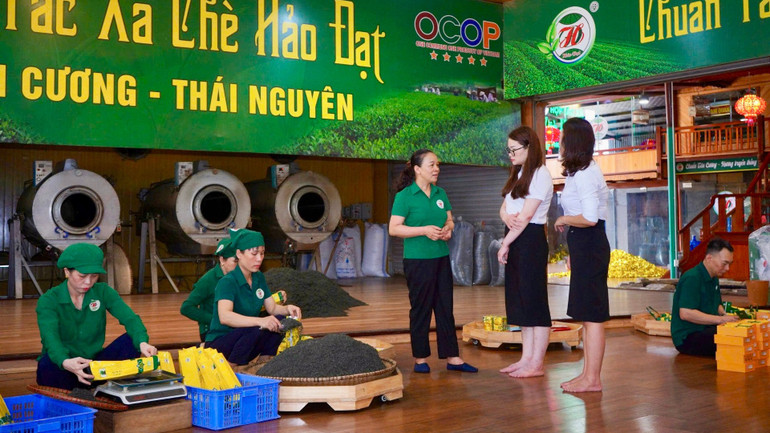 Giám đốc Hợp tác xã chè Hảo Đạt, bà Đào Thanh Hảo trao đổi cùng các cán bộ ngân hàng Agribank chi nhánh Nam Thái Nguyên. img-2599-6198.jpg