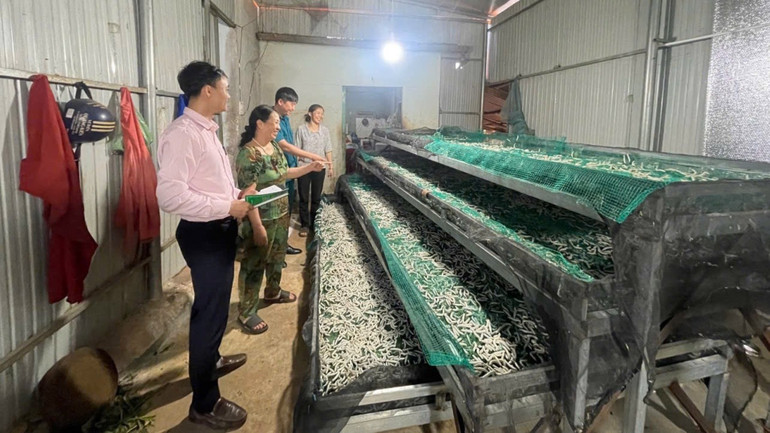 Các cán bộ tín dụng chính sách hướng dẫn, kiểm tra hộ vay sử dụng đồng vốn hiệu quả. img-2475.jpg