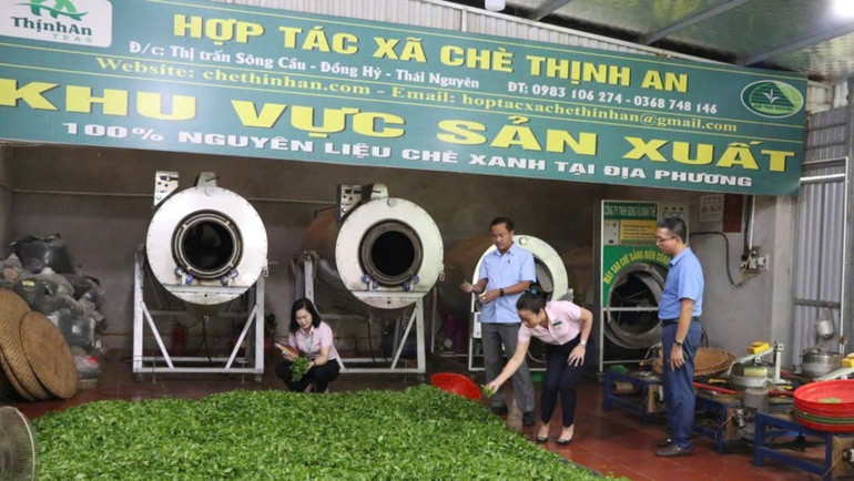 Nhiều hộ trồng chè ở Thái Nguyên đã thoát nghèo, vươn lên làm giàu từ nguồn vốn chính sách ưu đãi của Nhà nước. img-2614.jpg