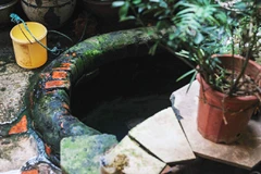 Một giếng cổ ở ngõ Tạm Thương, Hoàn Kiếm, Hà Nội.