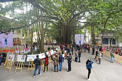 Triển lãm tranh minh họa do Báo Nhân Dân hằng tháng tổ chức năm 2015. Ảnh: Dương Mai