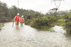 Công nhân truyền tải trong ca trực đi kiểm tra tuyến đường dây ở đèo Hải Vân.