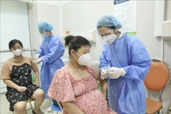 (Ảnh minh họa: TTXVN)