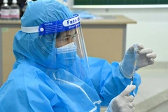 Ảnh minh họa: Duy Linh.