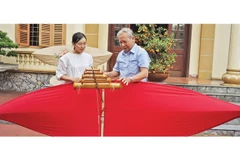 Diều sáo phiêu du