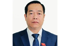 Đẩy mạnh toàn diện, đồng bộ công cuộc đổi mới