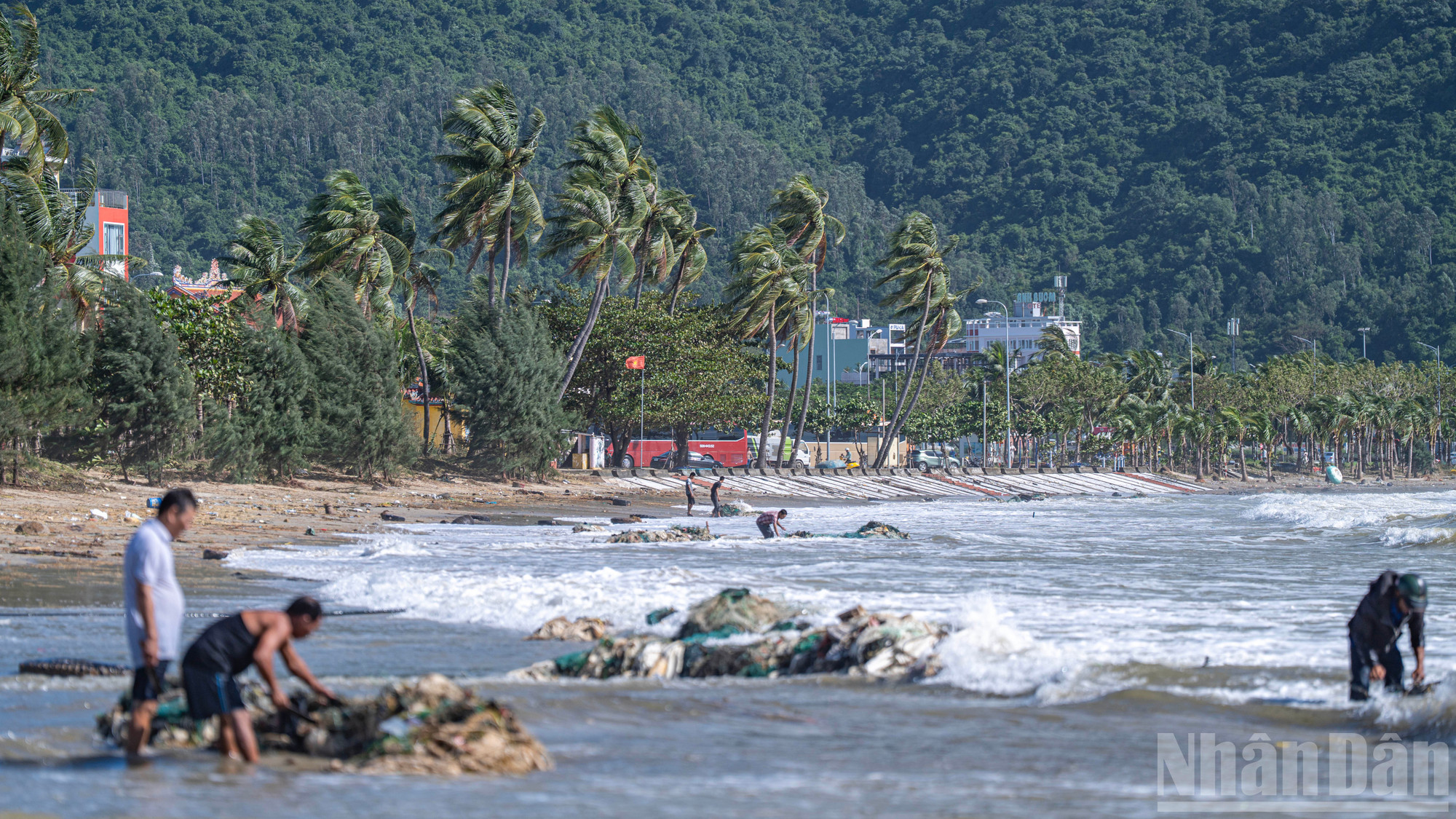Ordföranden för folkkommittén i Son Tra-distriktet sa att lokalbefolkningen kommer att försöka slutföra städningen av Hoang Sa-gatan idag och kommer att fortsätta städa upp kustområdet. ndo_br_don-34.jpg