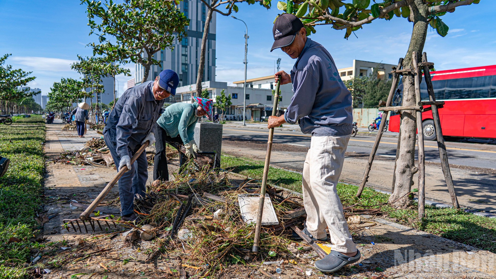Son Tra Wards folkkommitté mobiliserade fler än 500 personer för att delta i städningsarbetet. ndo_br_don-1.jpg