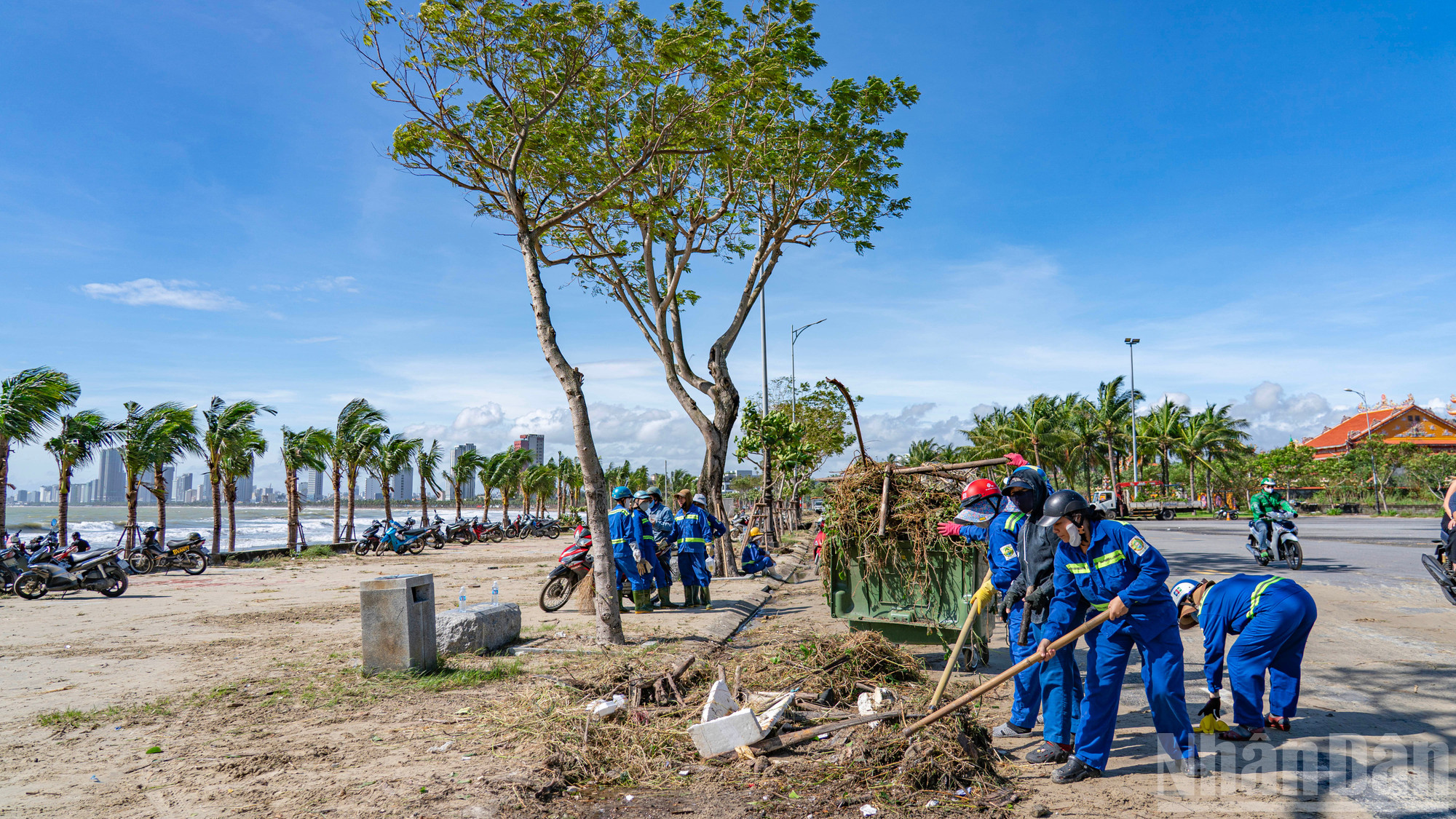 Städstyrkan inkluderar gröna träd- och miljöföretag, lokala myndigheter och organisationer, kustbevakningen som är stationerad i området... och lokala invånare. ndo_br_don-24.jpg