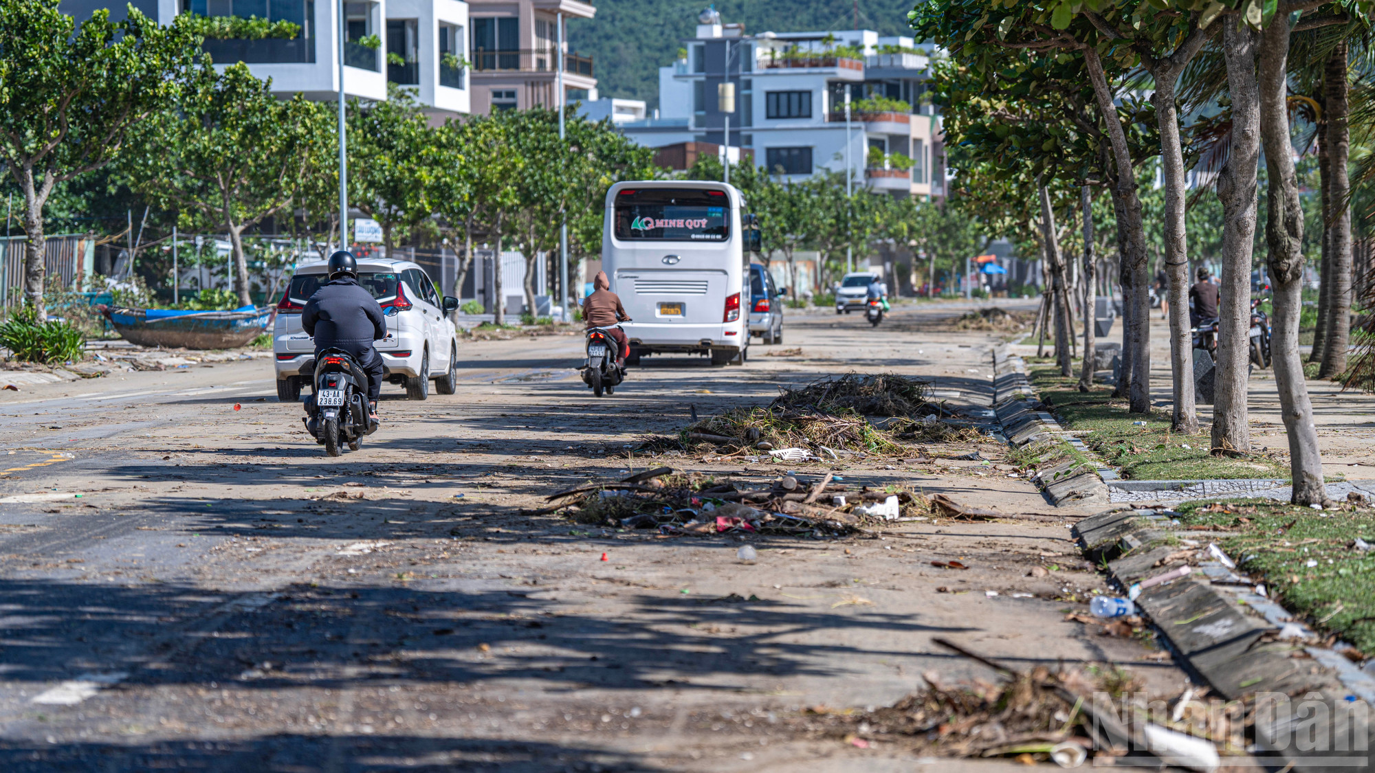 Bråtet bestod huvudsakligen av gräs, nedfallna träd och en stor mängd sand som burits upp på vägen av vind och vågor efter gårdagens storm. ndo_br_don-32.jpg