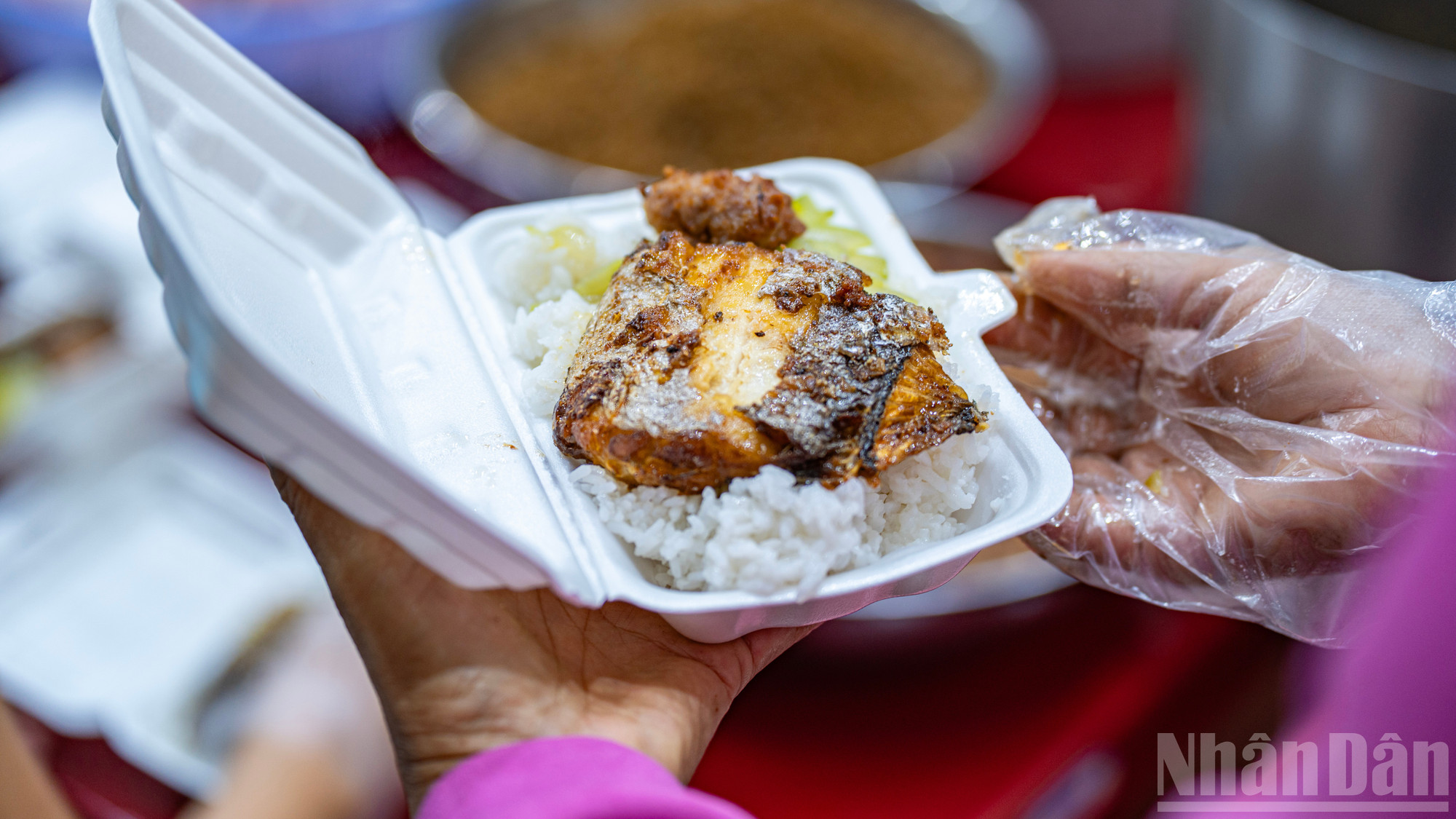 Крупный план полноценного обеда: овощи, рыба и мясо. ndo_br_bep-13.jpg