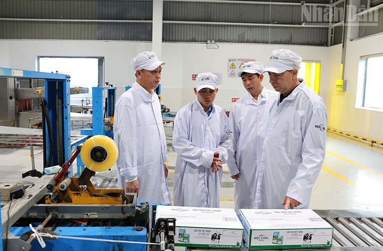 A Kubai Köztársaság vietnami nagykövetségének küldöttsége ellátogatott a Moc Chau tejgyárba. ndo_tr_7-5519.jpg