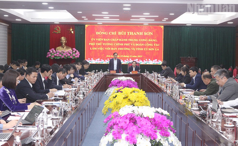 В приеме и работе с делегацией заместителя премьер-министра провинции Шонла приняли участие секретарь партийного комитета провинции Шонла товарищ Хоанг Ван Нгием и председатель Народного комитета провинции Шонла Нгуен Динь Вьет. ndo_tr_5-6206.jpg