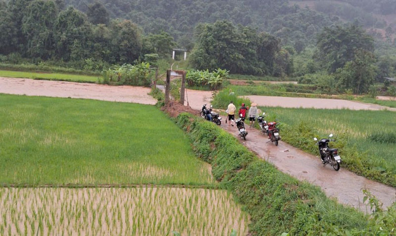 Nhiều diện tích lúa của các xã bị ngập. 2.jpg