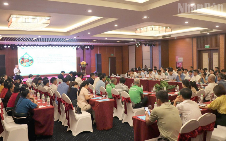 Tọa đàm “Nâng cao nhận thức sản xuất rau, quả an toàn” được tổ chức tại tỉnh Sơn La. ndo_tr_7-1790.jpg
