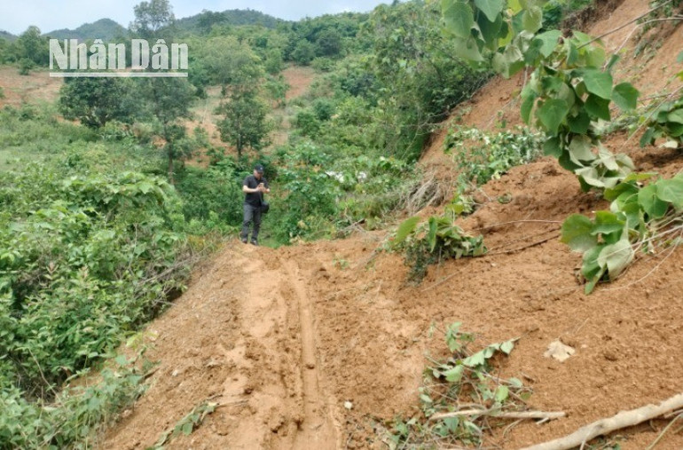 Một đoạn đường dẫn lên khu vực phía trên bản Lứa, nơi cũng bị đào xới tan hoang để khai thác vàng. 10-3763.jpg