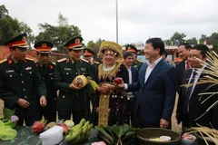 Các đồng chí lãnh đạo tỉnh Điện Biên, lãnh đạo Quân khu 2, Bộ Chỉ huy Quân sự tỉnh Điện Biên tham quan các gian hàng giới thiệu sản phẩm nông nghiệp của xã Na Son và các xã lân cận. (Ảnh: TRẦN DŨNG)