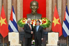 Chủ tịch nước Lương Cường và Bí thư Thứ nhất, Chủ tịch nước Cộng hòa Cuba Miguel Diaz-Canel Bermudez.