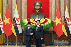 Chủ tịch nước Lương Cường và Quốc vương Brunei Darussalam Haji Hassanal Bolkiah.