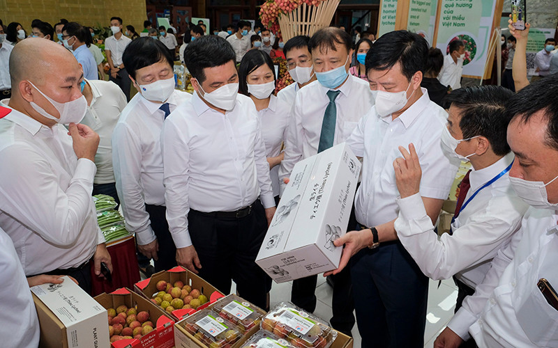 Vải thiều xuất khẩu được đóng gói đẹp mắt, thu hút người tiêu dùng.