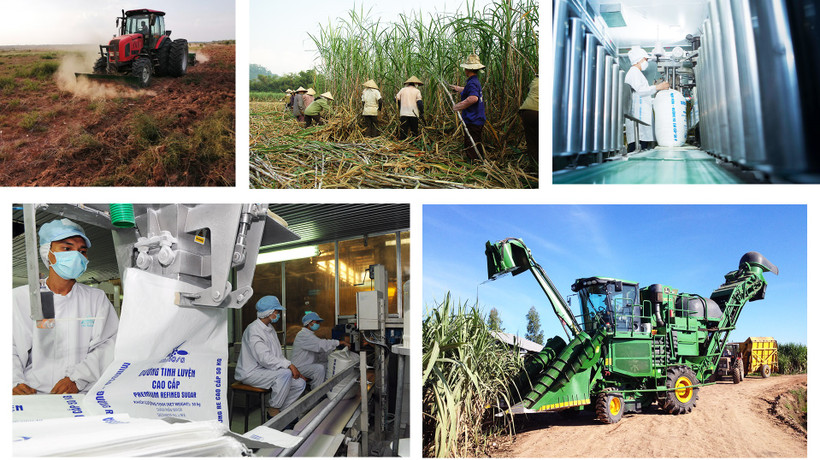 Chiều 23-3, Tọa đàm trực tuyến Cơ hội và thách thức cho ngành mía đường