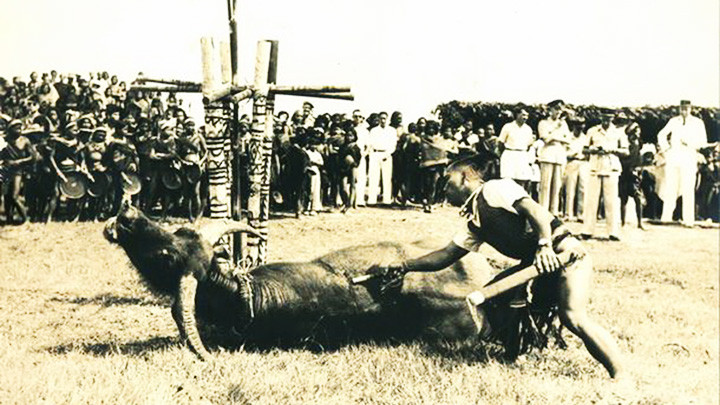 Trong buổi lễ nhận đất “Hoàng triều Cương thổ” tượng trưng. Ảnh tư liệu