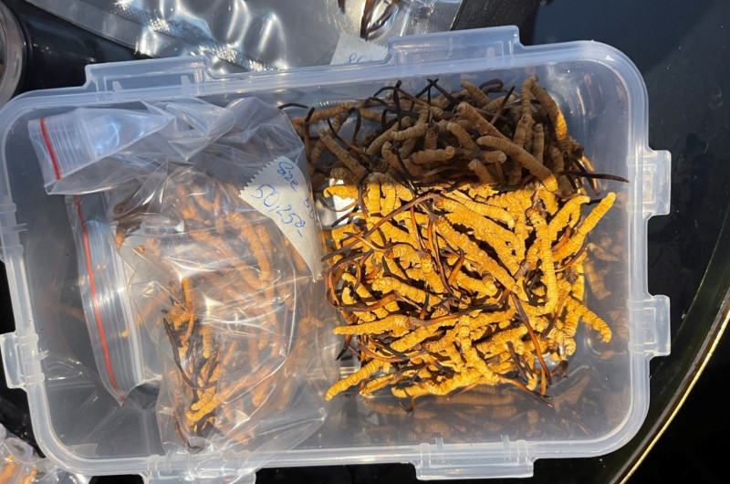 Tang vật thu giữ tại hiện trường.