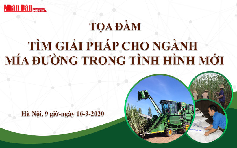 Tọa đàm trực tuyến “Tìm giải pháp cho ngành mía đường trong tình hình mới”