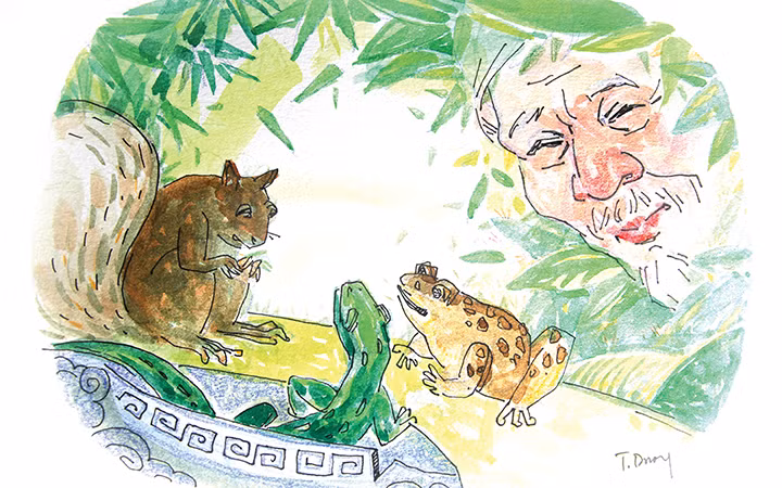 MINH HỌA: THUẬT DƯƠNG